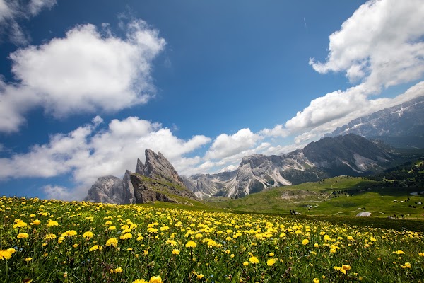 Seceda Ridgeline