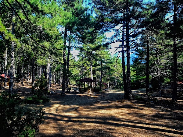 Honaz National Park