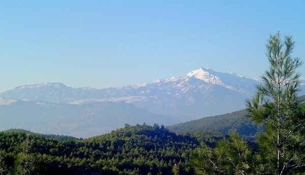 Honaz National Park