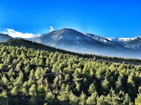 Honaz National Park