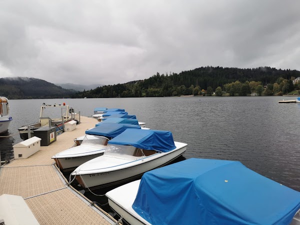 Bootsbetrieb-Schweizer-Titisee GmbH & Co. KG