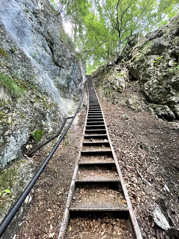 Mala Osojnica