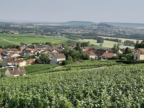 Parc naturel régional de la Montagne de Reims