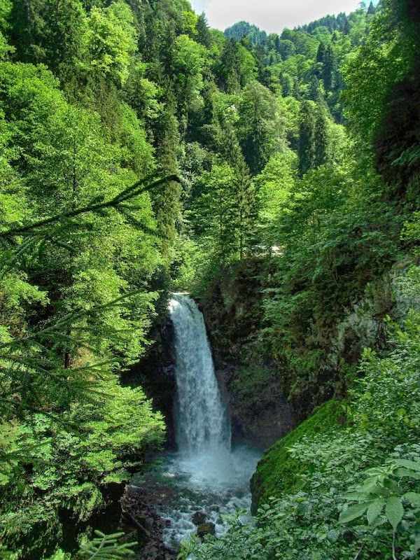 Palovit Şelalesi