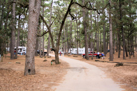 Bastrop State Park