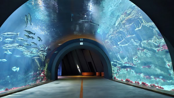 OZEANEUM Stralsund GmbH