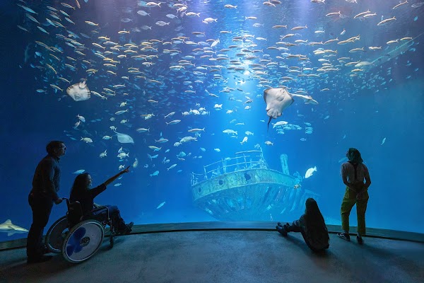 OZEANEUM Stralsund GmbH