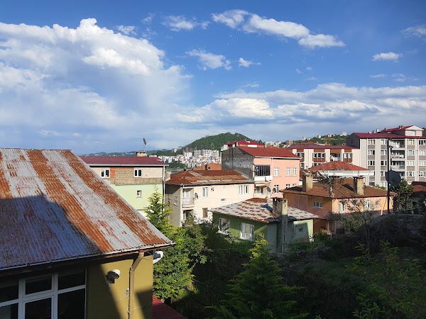 Zeytinlik Sokak