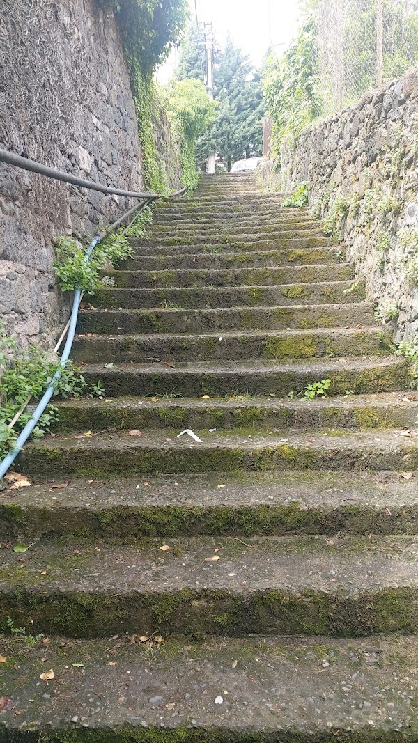 Zeytinlik Sokak
