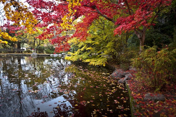 Lithia Park