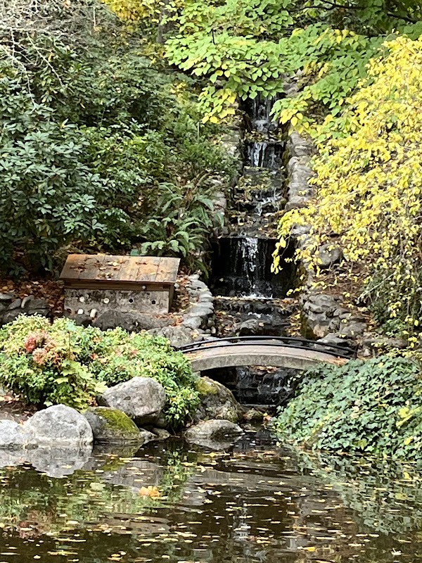 Lithia Park