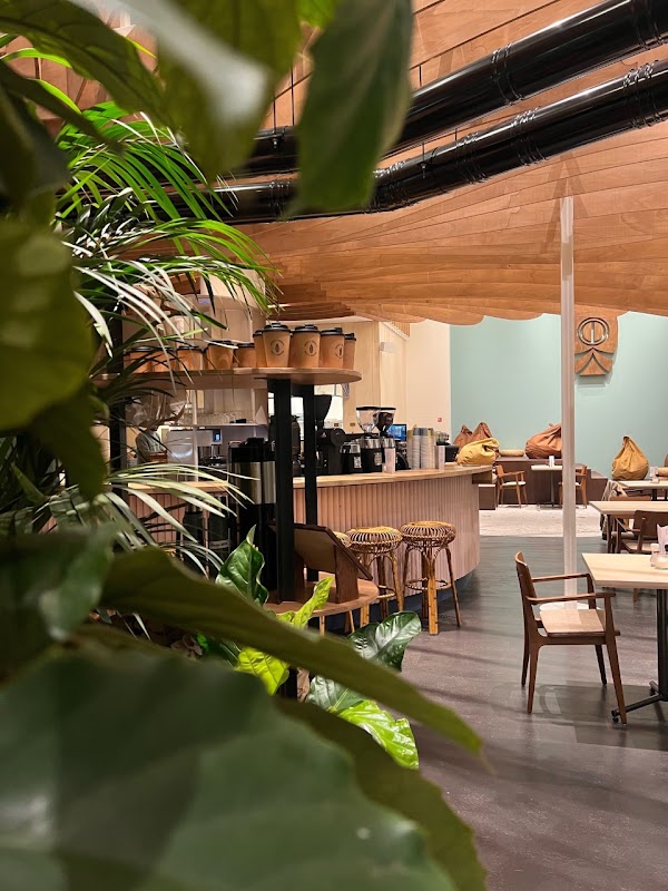Coffee & Coconuts | Specialty Coffee | Pastry | Matcha | Food to go