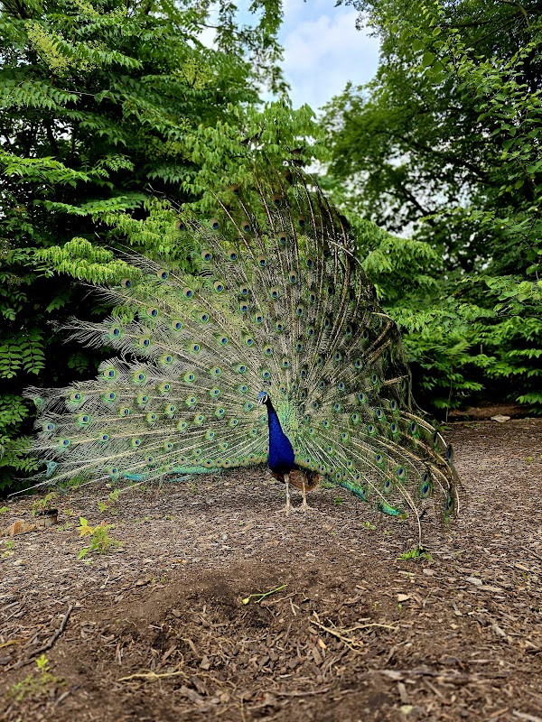 Fort Wayne Zoo
