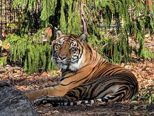 Fort Wayne Zoo