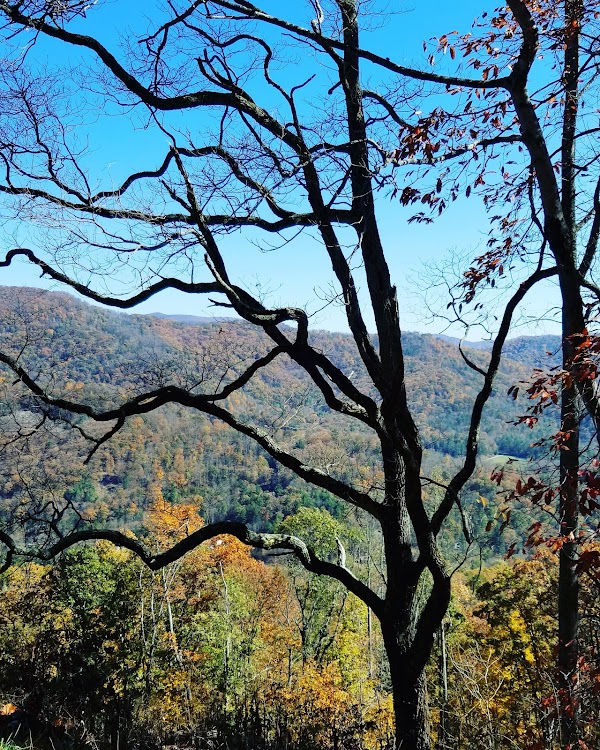 Tanbark Ridge Overlook