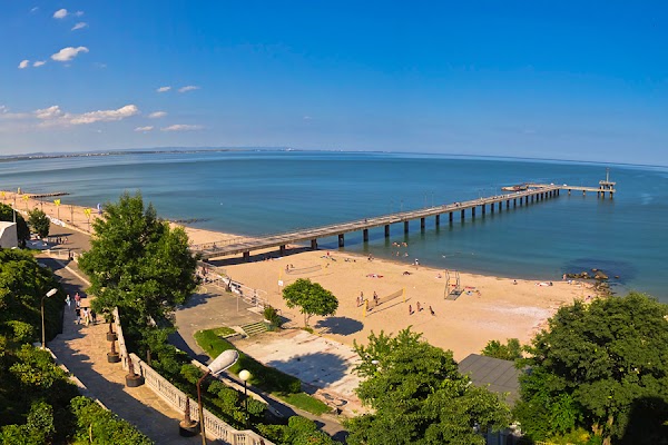 The Sea Garden