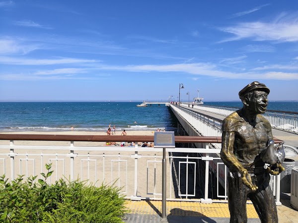 The Sea Garden