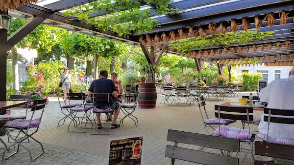 Traditionsgasthaus Zum Grünen Strand der Spree