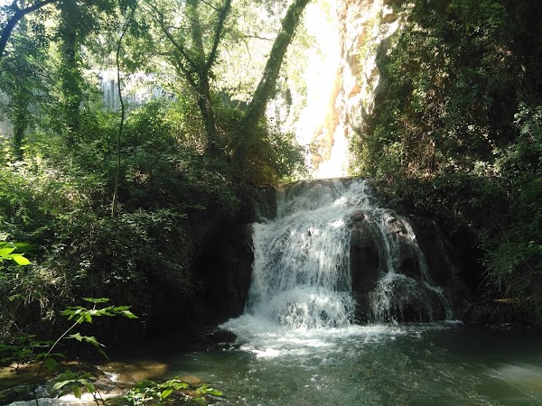 Parque-Jardín Historico del Monasterio de Piedra
