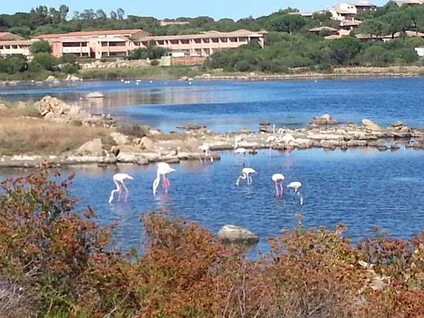 Spiaggia di Salina Bamba
