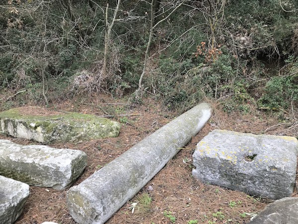 Amfipolis Aslanı
