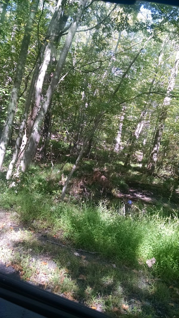 Bushkill