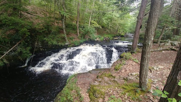 Bushkill