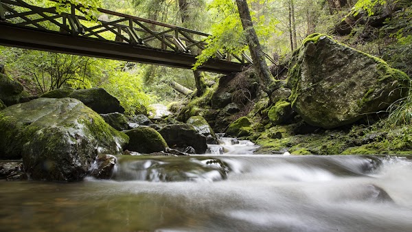 Ravennaschlucht