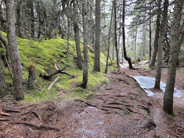 Parc côtier Kiskotuk--Secteur marais du Gros-Cacouna