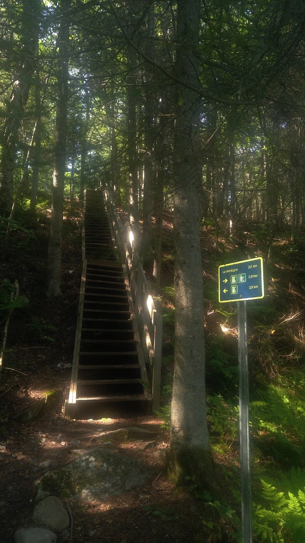 Parc côtier Kiskotuk--Secteur marais du Gros-Cacouna