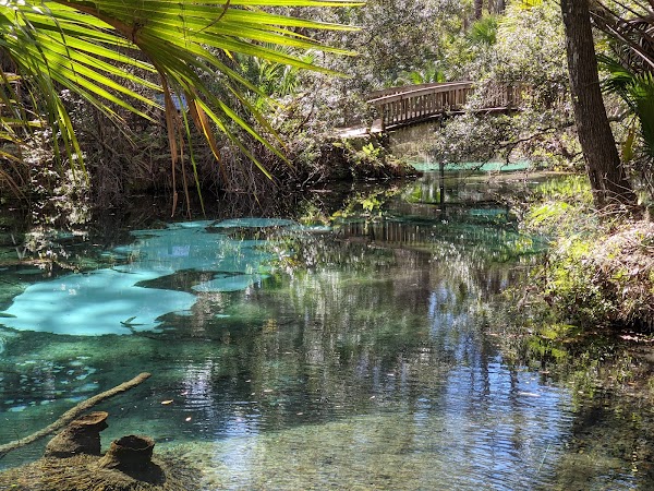 Ocala National Forest