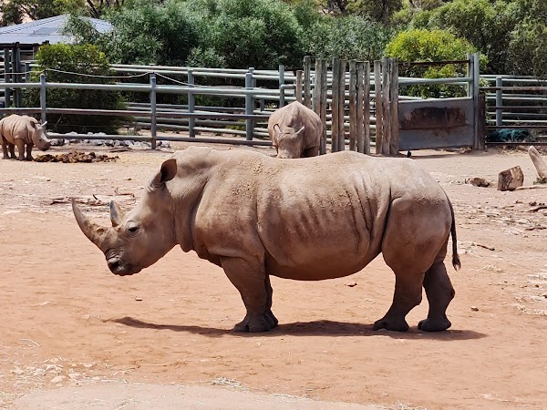 Monarto Safari Park