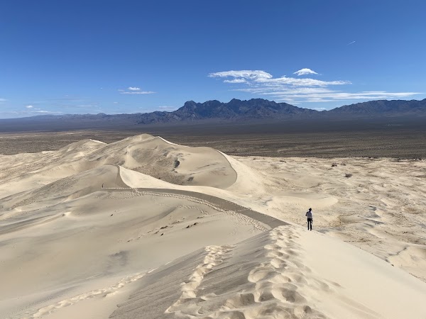 Kelso Dunes