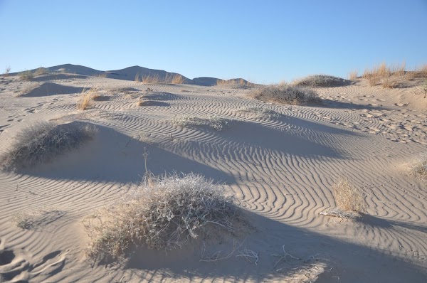 Kelso Dunes