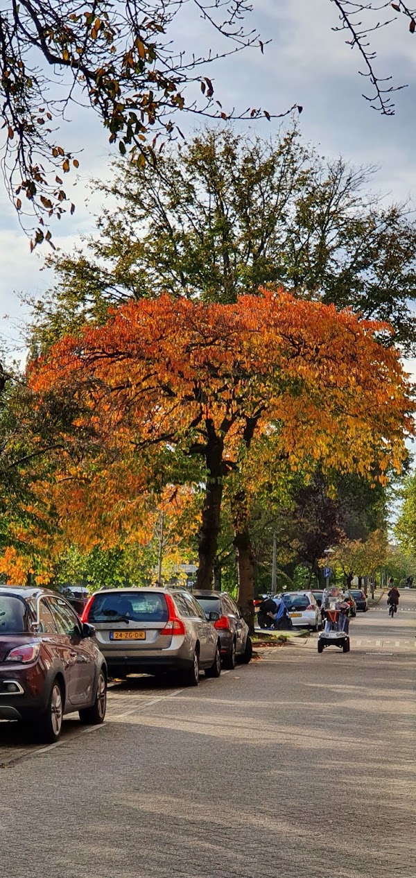 Sarphatipark