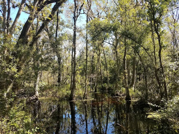 Brooker Creek Preserve & Environmental Education Center