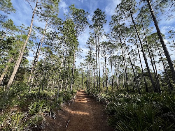 Brooker Creek Preserve & Environmental Education Center