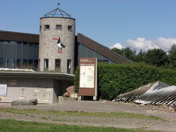Natureum Niederelbe