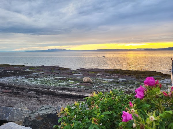 Kamouraska Quai Miller