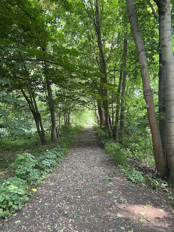 Brühl Park