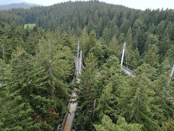 Waldwelt Skywalk Allgäu