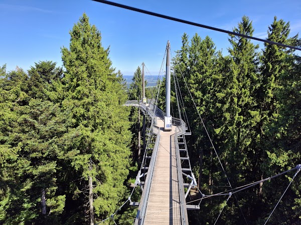 Waldwelt Skywalk Allgäu