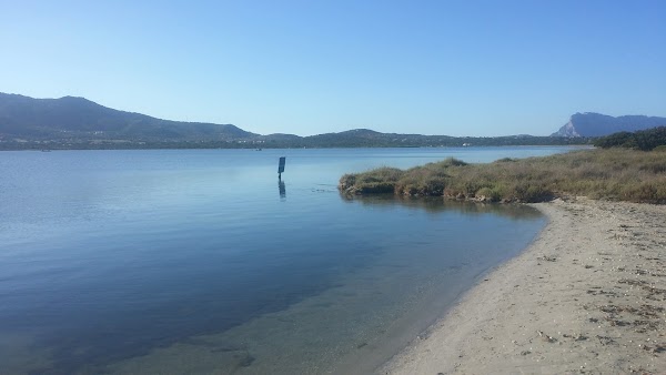 Pond of San Teodoro