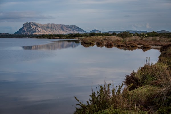 Pond of San Teodoro