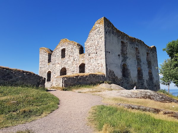 Brahehus
