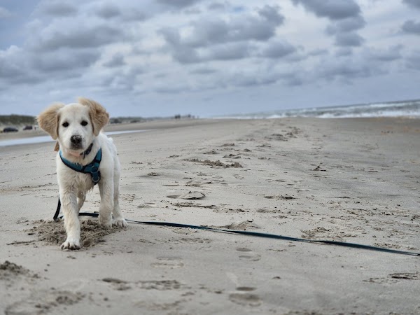 Vejers Strand