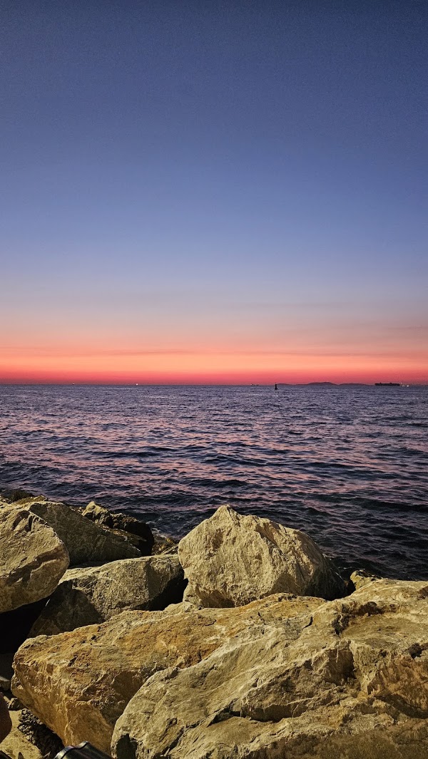 Yalova Balıkçısı