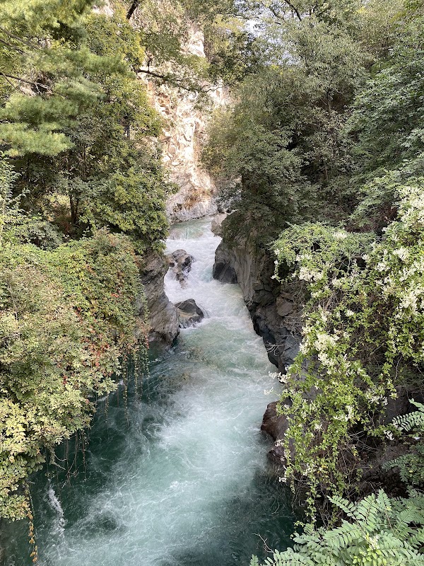 Gilfklamm