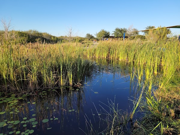 Oso Bay Wetlands Preserve and Learning Center Corpus Christi, TX