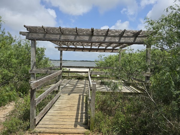 Oso Bay Wetlands Preserve and Learning Center Corpus Christi, TX